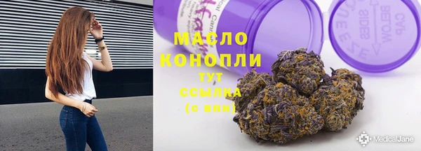 2c-b Новозыбков