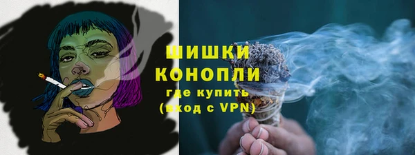 2c-b Новозыбков