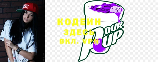 2c-b Новозыбков
