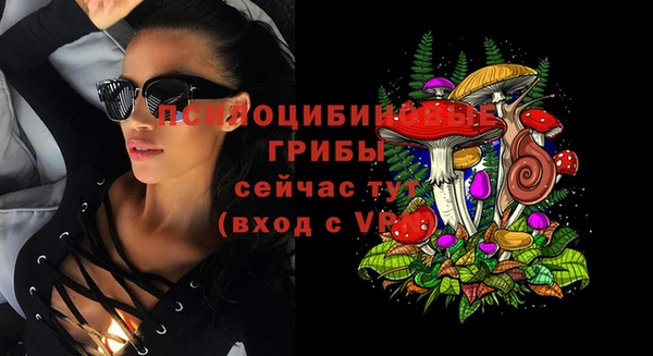 молекула духа Новокубанск
