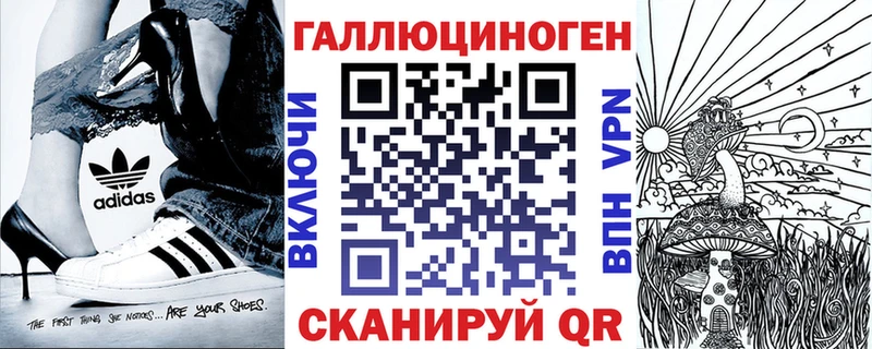 Псилоцибиновые грибы Psilocybe  где купить   Туран 