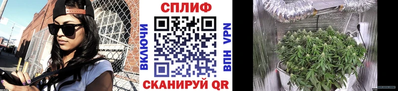 Бошки марихуана конопля  Туран 